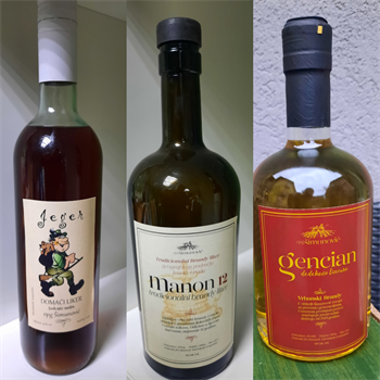 GENCIAN-brendi digestiv 0,2L